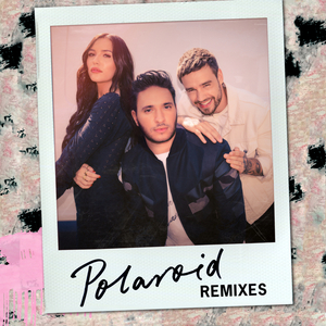 Polaroid (Nolan van Lith Remix)