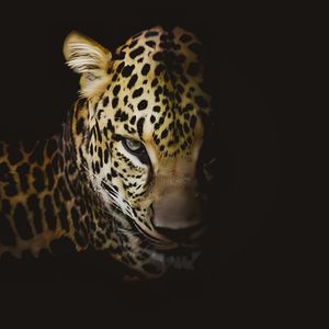 Shocking（震撼力）