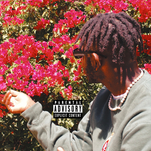 Company (feat. Chuka, The Destroyer)