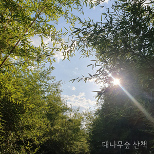 대나무숲 산책 (Inst.)