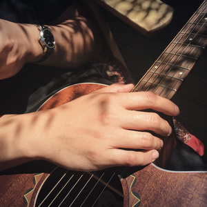 夙愿（《天ノ弱》中文填词）（翻自 新社会人）