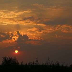 The Realest (Short Ver)