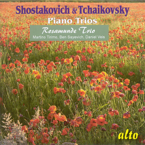 Piano Trio No. 2 in E Minor, Op. 67:I. Andante - Moderato