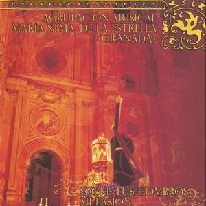 Comentario Los últimos ecos (En Vivo)