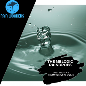 Rhythmical Bubbles Boiling