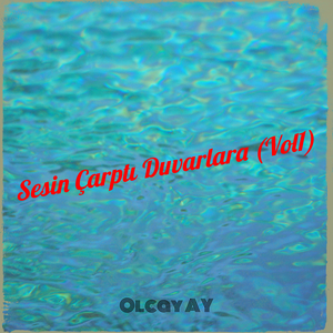 Sesin Çarptı Duvarlara, Vol. 1