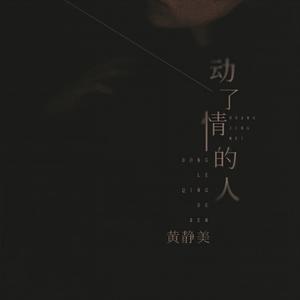 动了情的人 (DJ武圣雄版)