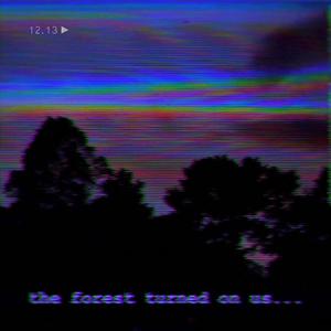 The Forest Turned on Us