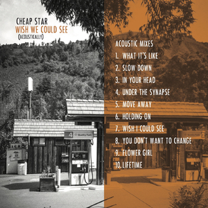 Lifetime (Acoustic) [feat. Gary Louris]