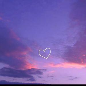 仙境(陷阱)_无话版