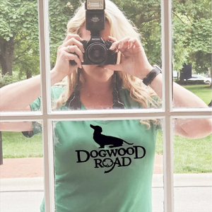 The Broken Broom Set: Broken Pledge / Down the Broom / Earl's Chair