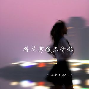 拣尽寒枝不肯栖