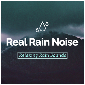 Tree Branch Raindrops