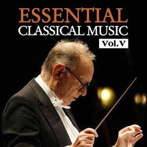Piano and Orchestra Concerto No. 1 in D Minor, Op. 15: III. Rondo - Allegro non troppo