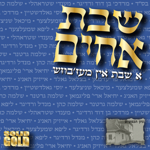 Avinu Malkainie (feat. R' Yichiel Fligman)