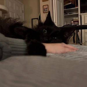 难哄（prod.by Morrow x riki)