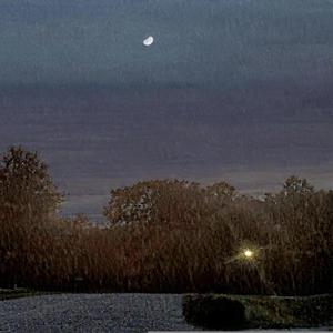 Along The Rocky Road