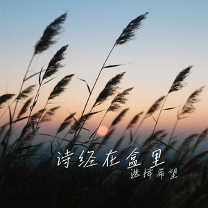 诗经在盒里
