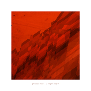 Askant (Procedure) Pt.1