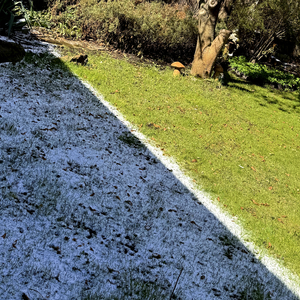 Циклічність