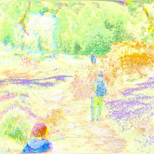 The Official Loch Lomond Colouring Book