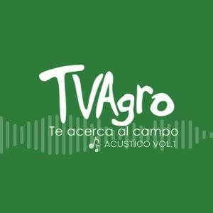 Cultivando sueños en cada rincón