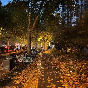 猜不透（南辞 remix）