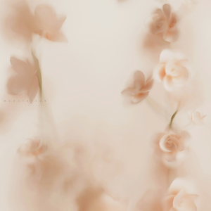 명상 (마음의 숲)