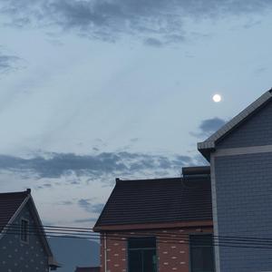 世界上的另一个我