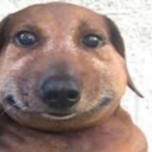 no seeee (｡˃ ᵕ ˂)⸝♡