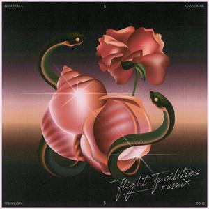 Strangers (with Mansionair) [Flight Facilities Remix]