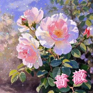 蔷薇（Prod by SCORPION）