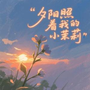 夕阳照着我的小茉莉