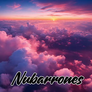 Nubarrones