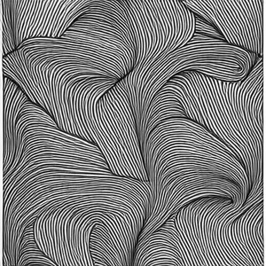 SM (Cover)