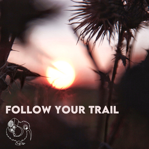 Follow Your Trail