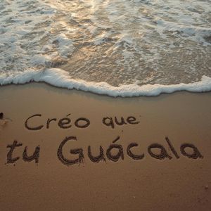 Creo Que Tú Guácala