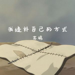 我缝补自己的方式