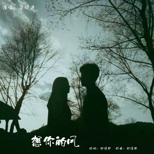 想你的风
