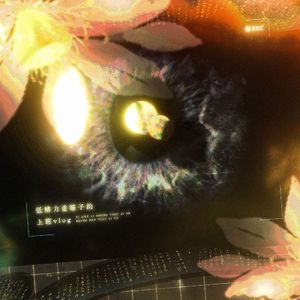 低精力重瞳子的上班vlog