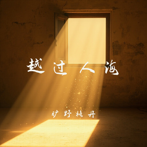 越过人海