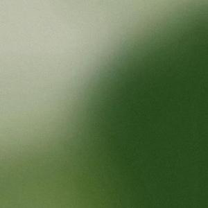 青山 绿野 佳人