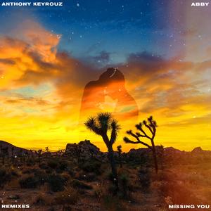 Missing You (Ilan Videns Remix)