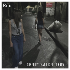 Somebody That I Used to Know