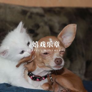 尾巴摇摆 (安静氛围)