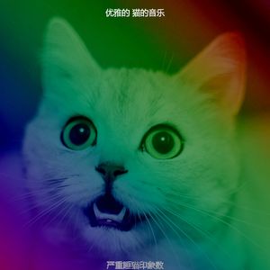 柔和的可爱的猫时刻