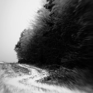 Timeless Loop