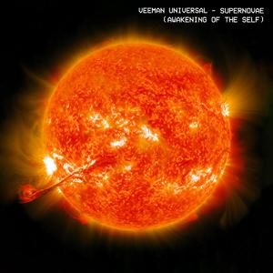 Mentorship: Seek guidance from mentors, coaches, or spiritual teachers who resonate with your journey.