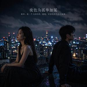 《夜色为孤单加冕》
