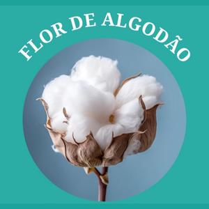 Flor de Algodão